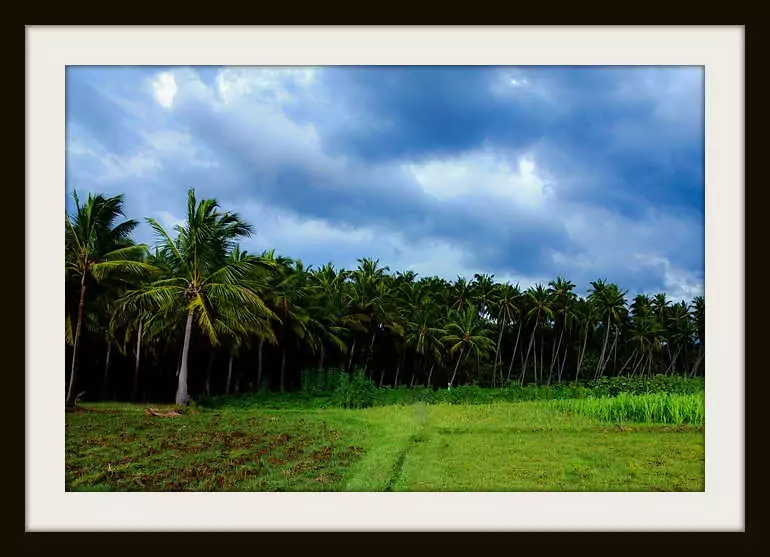 thatstamil
