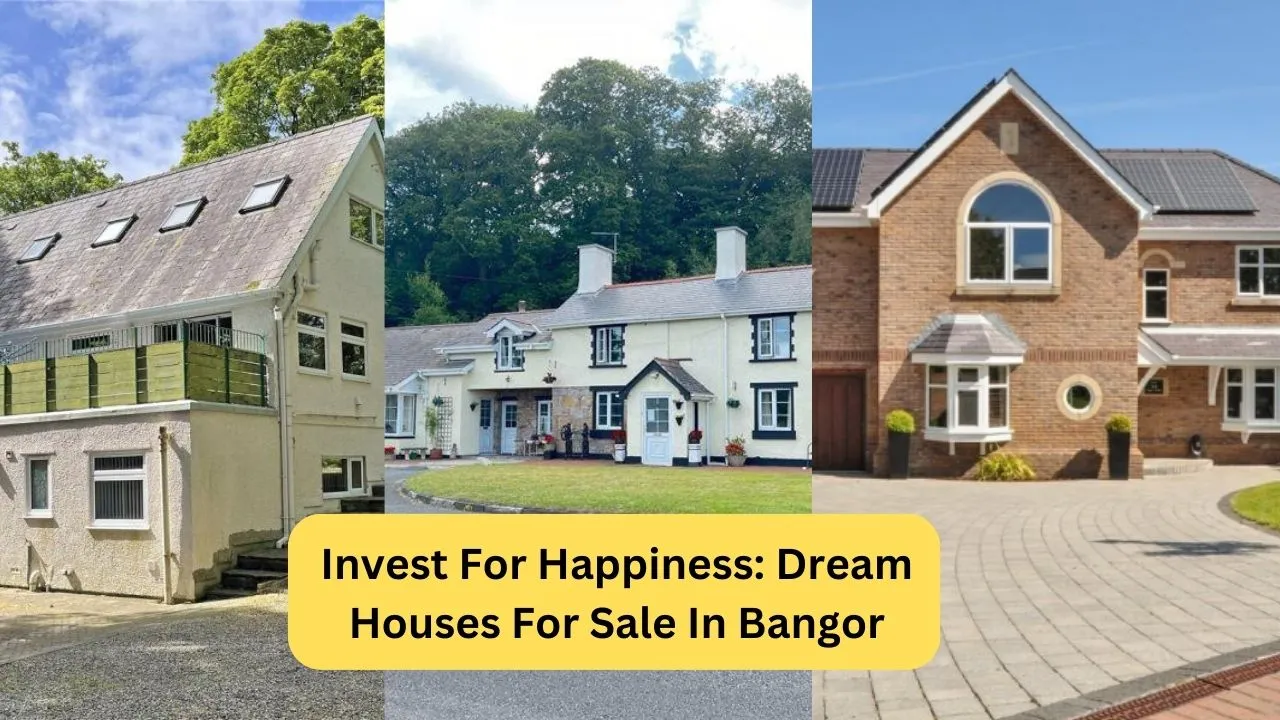 Invest For Happiness Dream Houses For Sale In Bangor