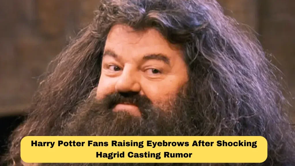Harry Potter Fans Raising Eyebrows After Shocking Hagrid Casting Rumor