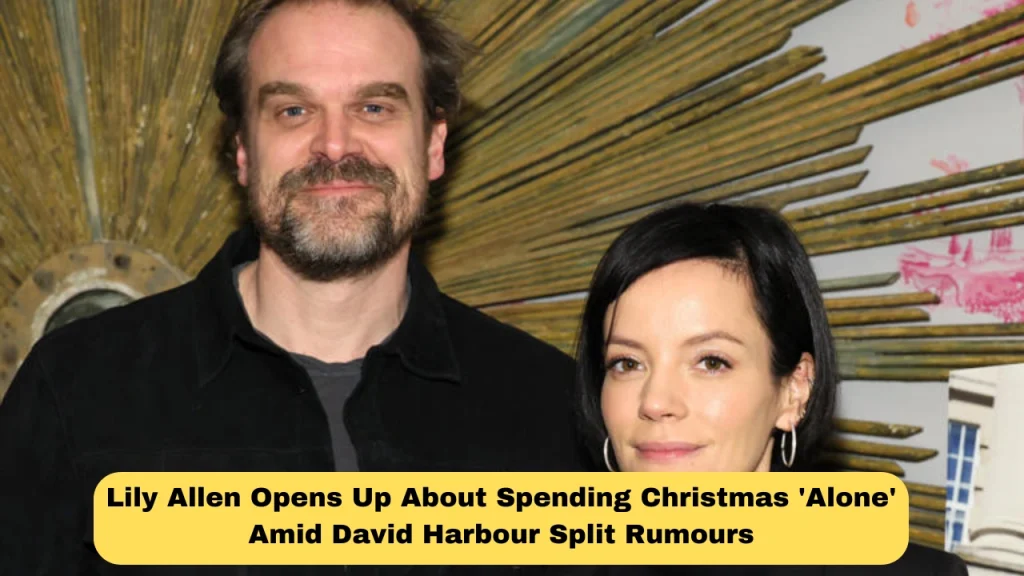 Lily Allen Opens Up About Spending Christmas 'Alone' Amid David Harbour Split Rumours