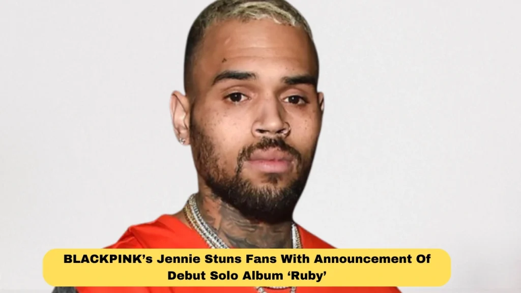 Chris Brown Takes Legal Action Against Warner Bros., Sues For $500 Million Over Docuseries