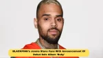Chris Brown Takes Legal Action Against Warner Bros., Sues For $500 Million Over Docuseries