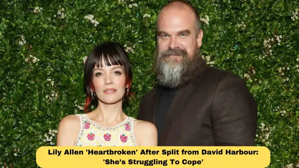 Lily Allen 'Heartbroken' After Split from David Harbour: 'She’s Struggling To Cope'