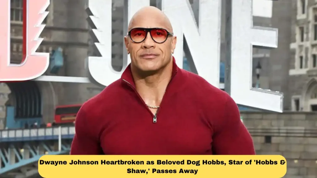 Dwayne Johnson Heartbroken as Beloved Dog Hobbs, Star of 'Hobbs & Shaw,' Passes Away