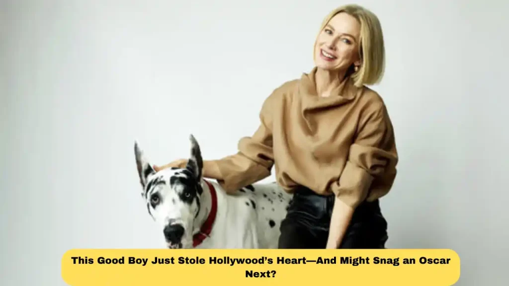 This Good Boy Just Stole Hollywood’s Heart—And Might Snag an Oscar Next?